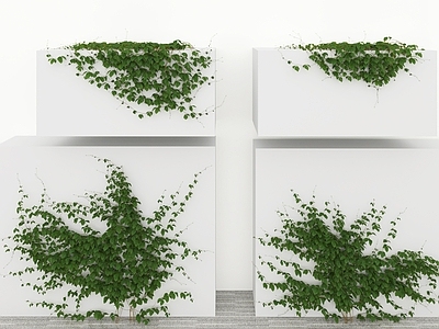 藤蔓 藤蔓墙爬山虎