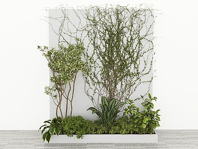 藤蔓 藤蔓墙爬山虎