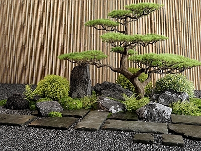 植物组合 庭院景观小品 汀步 松树 景观石头 灌木