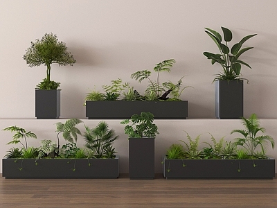 植物组合 外摆绿植花箱 植物组合 景观造景 盆栽组合