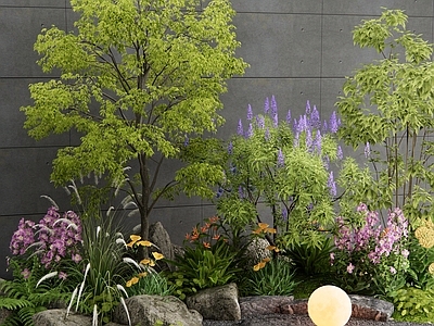 植物堆 花草组团 灌木 花境景观 景观树 植物组合