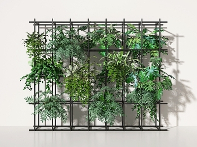 绿植墙 植物墙 绿植墙 植物 植物架