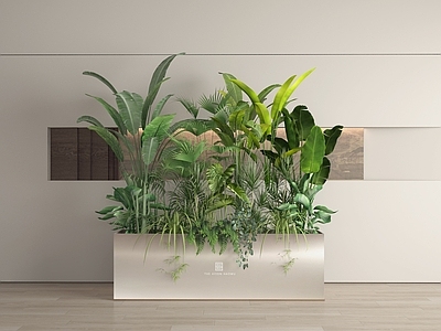 盆栽 盆栽 盆景 植物堆 绿植堆 植物组合