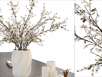 盆栽 现代花瓶花卉盆栽 植物 摆件书