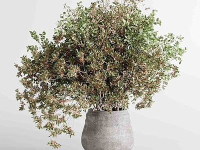 新中式侘寂花艺 花瓶 花艺 花束 陶罐