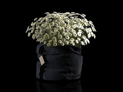 现代佛龛 现代布包小雏菊