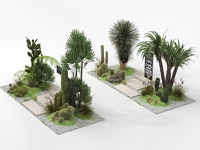 现代其他景观小品 庭院景观景观造景 室内景观植物组合