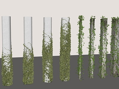 藤蔓 藤蔓 绿植 蔷薇