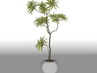 盆栽 绿植摆件