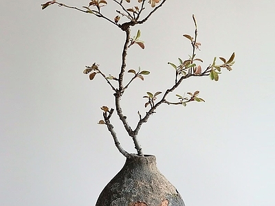 盆栽 侘寂绿植 做旧花瓶 现代花瓶 干支
