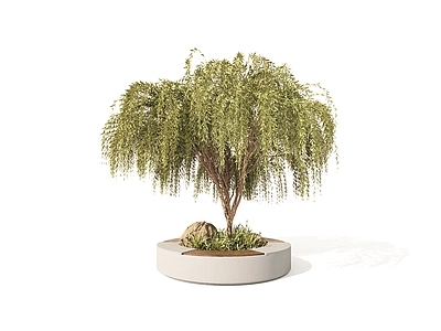 花坛 花坛 花池