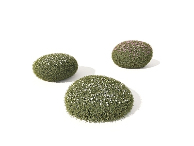 植物堆 灌木 灌木球