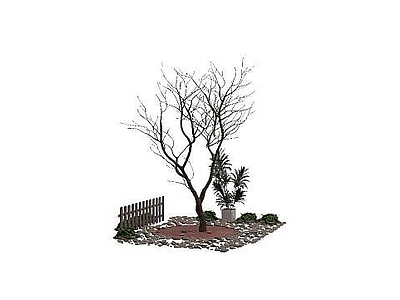 现代景观树
