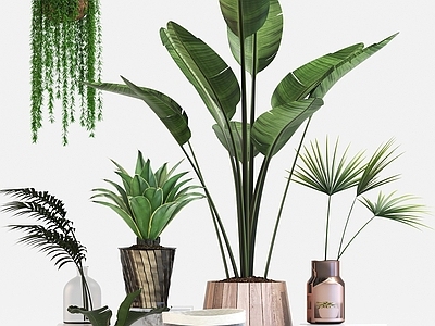 现代佛龛 轻奢盆栽植物