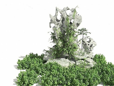 现代假山植物
