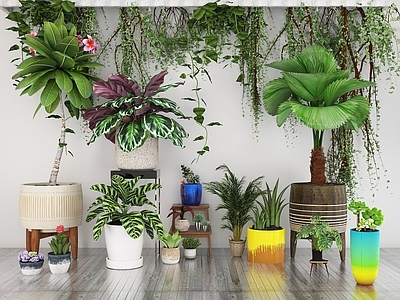 现代佛龛 室内植物花