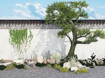 现代假山植物