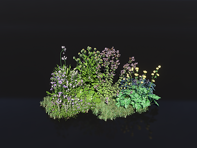 植物堆 森系花艺 绿色植物堆 灌木