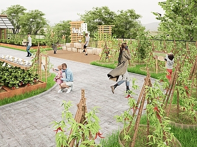 现代屋顶花园 研学科普 农作物研学 菜园菜地 庄稼组合