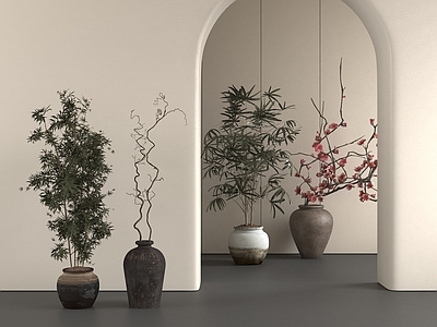 盆栽 盆栽 中古风植物 植物组合 枫叶植物 落地植物 花艺摆件