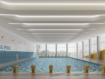 现代游泳馆 游泳池