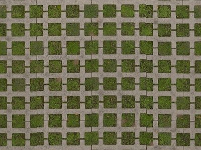 现代植草砖 室外草地砖