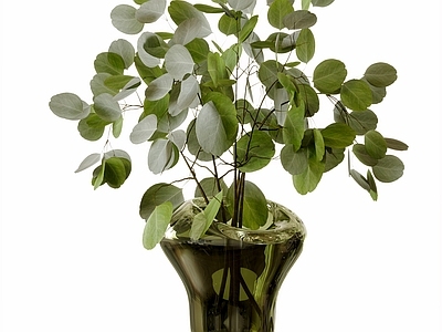 现代花艺 玻璃花瓶 花艺摆件 绿植 植物