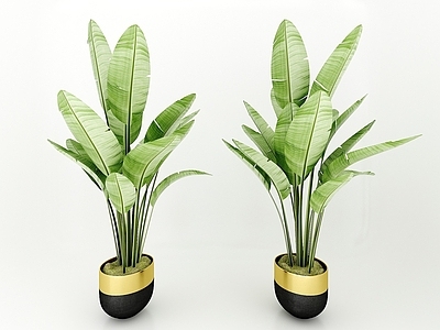 现代佛龛 现代风格植物