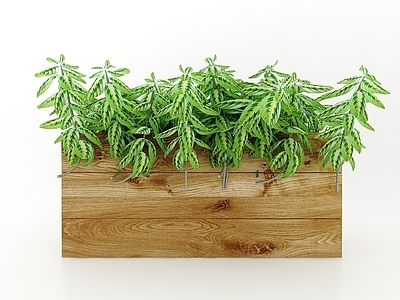 现代佛龛 现代风格植物