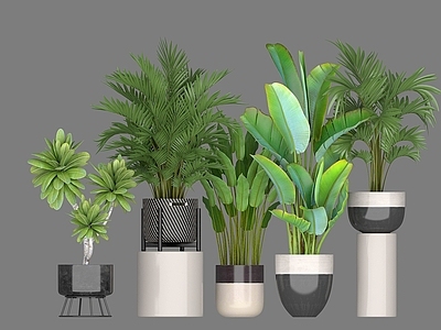 现代佛龛 植物盆栽组合