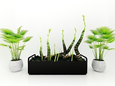现代佛龛 现代风格植物