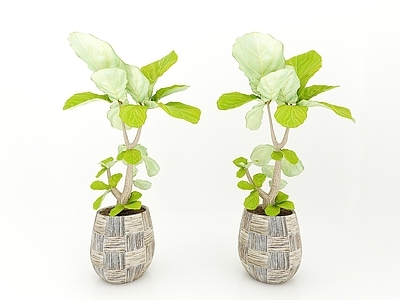 现代佛龛 现代风格植物
