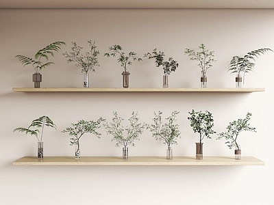 现代花艺 水生植物 玻璃瓶插枝条 枝条花瓶 玻璃花瓶 植物摆件