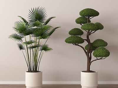 盆栽 绿植盆景 家居植物盆栽