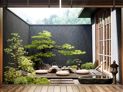 日式新中式室内景观 天井景观 庭院花园 松树 植物造景 花草
