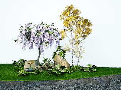 乔木 景观开花乔木 造型树 水砵石头造景