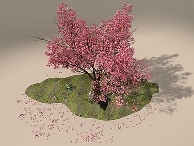 景观树 桃树 桃花