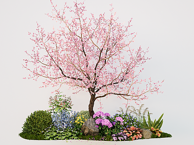 乔木 植物花镜 绿植组合 景观树 花草灌木