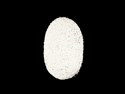 其他动物 蚕 蚕蛹 蛹 蝉 昆虫