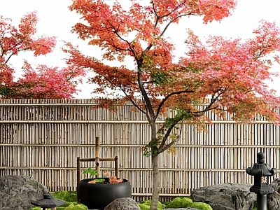 日式庭院小品 红枫 枯山水 景观石头 苔藓 水钵
