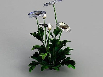 现代魔兽世界灌木花丛装饰