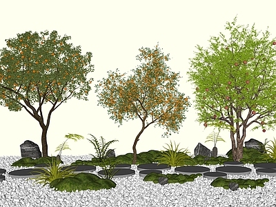 植物组合 灌木 果树 苹果树橘子树 石榴树