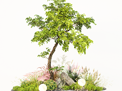 植物组合 现代植物花草 狼尾草 造型树 庭院花草 景观石头