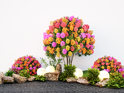 灌木 造景乔木 造型多色三角梅 花草 石头微地形
