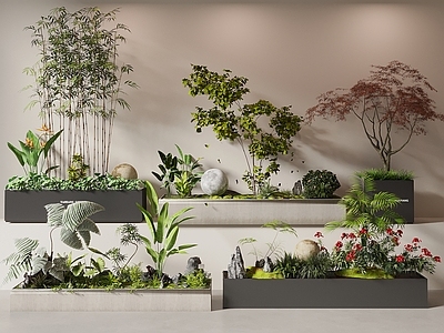 花箱 花池 植物造景 植物组合 竹子 红枫