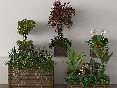 花草组合 花池花坛植物堆 户外外摆花箱 植物盆栽花草
