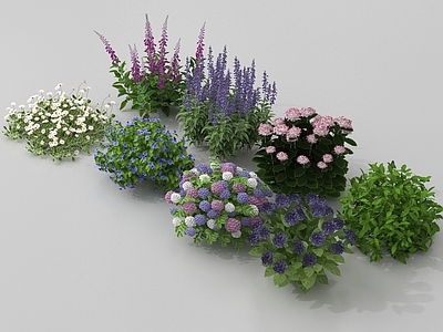 花草组合 花草花卉组合 现代灌木