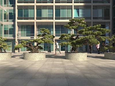 现代佛龛 树池罗汉松