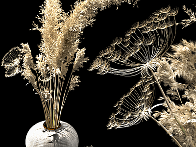 新中式侘寂花艺 花瓶 花艺 干花 陶罐 蒲公英