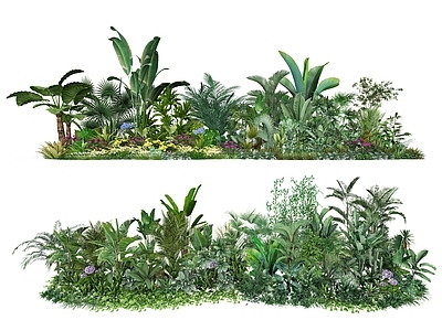 植物组合 热带植物 植物组合 植物组团 花草地被灌木 树池植物组合